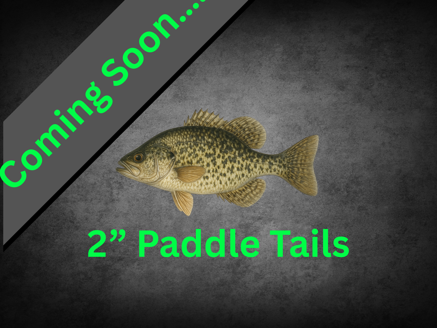 Coming Soon (2” Paddle Tails Set)